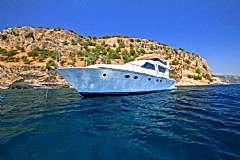 No More Stress resimleri